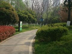 -后襄河公园