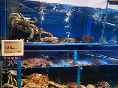 -T11生鲜超市(朝阳公园店)