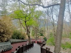 -青岛崂山太清宫