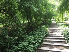 -黑龙江中医药大学