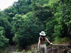 -广州白江湖森林公园