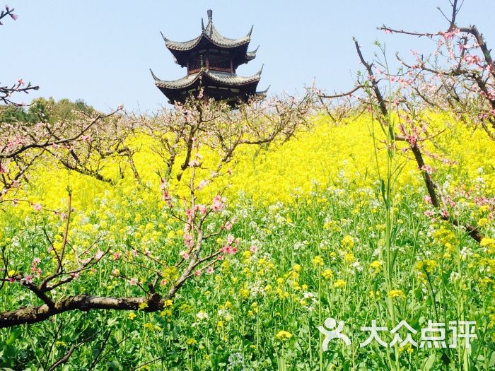 城山沟桃源山庄图片 - 第2张