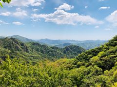 -大岭沟猕猴桃谷风景区