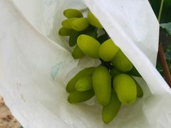 -美家乐农庄·露营·团建(大治路店)