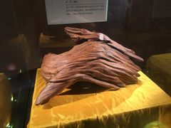 镇馆之宝-中国沉香文化博物馆