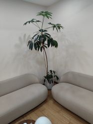 -HEYAN荷妍专业脱毛连锁机构