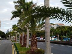 -黄金海岸环岛路