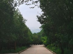 -北京十三陵国家森林公园蟒山景区