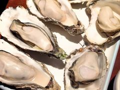 高压锅蒸乳山生蚝-乔街深夜食堂·台州菜·高压锅生蚝(杭州总店)