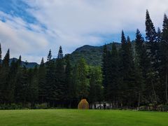 -深圳仙湖植物园
