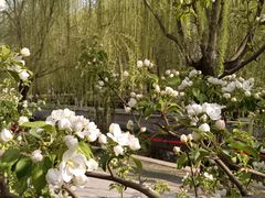 -元大都城垣遗址公园