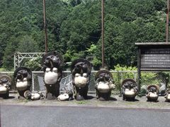 -岚山嵯峨野观光小火车