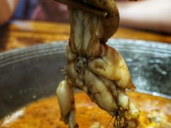 一整只牛蛙-老天桥蛙炉火锅(昆山直营店)
