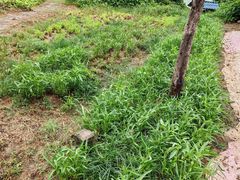 -西山人家·二十年老字号农家菜(旺山店)