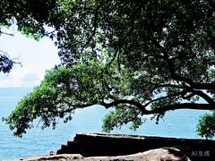 -抚仙湖禄充风景区