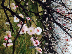 iphone_upload_pic-林屋洞景区