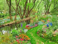 -上海共青森林公园