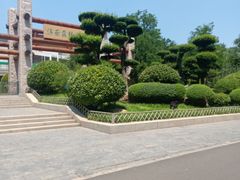 门面-济南森林公园