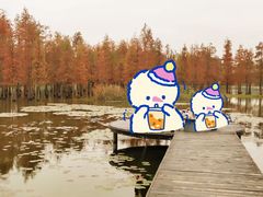 -白鹭湾湿地公园