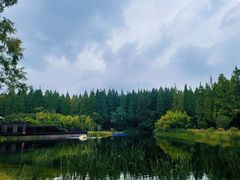 -黄海国家森林公园