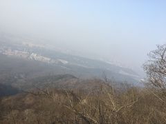 -紫金山山顶公园