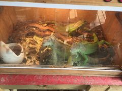 -万源龙顺度假庄园生态观光园