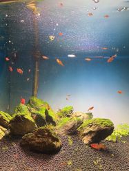 -青木造型HAIR·あおき髪を刈る潮人店