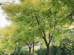 -秦皇岛市图书馆