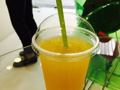 -Salud撒露欧洲冻酸奶(北苑上品店)