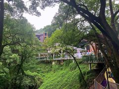 -南山植物园