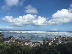 -枸杞岛