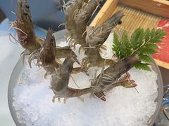 -王家渡火锅店(棕榈泉店)