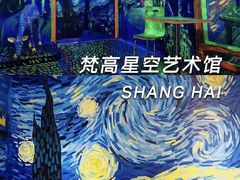 -上海梵高星空艺术馆(南京路旗舰店)
