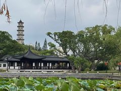 -江心屿景区
