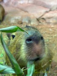 -Zoolung Zoolung动物主题公园(海信广场店)