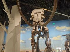 -国家自然博物馆