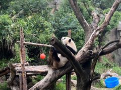 -宁波野生动物园