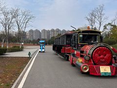 -洋湖国家湿地公园