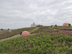 -空港花田景区