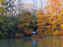 -上海海湾国家森林公园