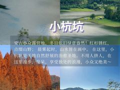 -阿露佳·舌尖上的安吉菜