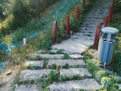 -桃花岭景区