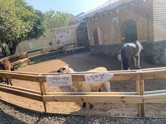 -HERRE·FARM 赫尔露营农场·团建聚会包场