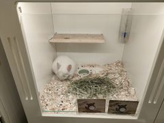 -龙猫仔乐园(惠福东路店)