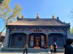 -护国法轮寺