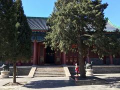 -历代帝王庙博物馆