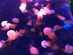 -石林冰雪海洋世界