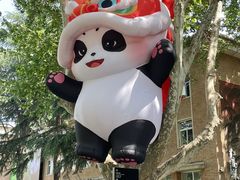 -西安电影制片厂