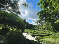 -马峦山郊野公园