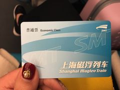 -龙阳路磁悬浮列车总站-停车场